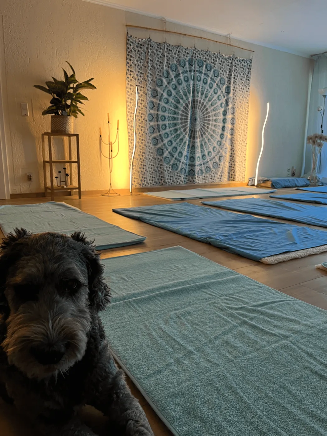 Yogaraum in Krefeld mit Matten und Wandbehang