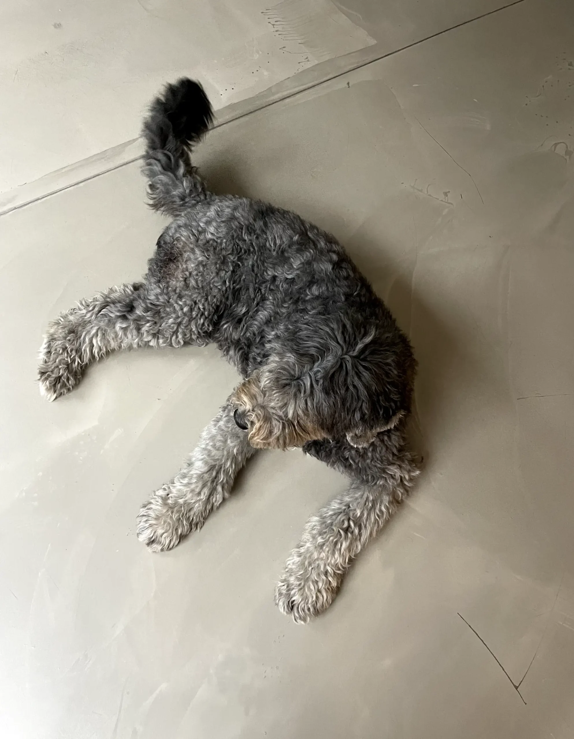 gesa-hecken-praxis-fuer-entspannung-und-beratung-coaching